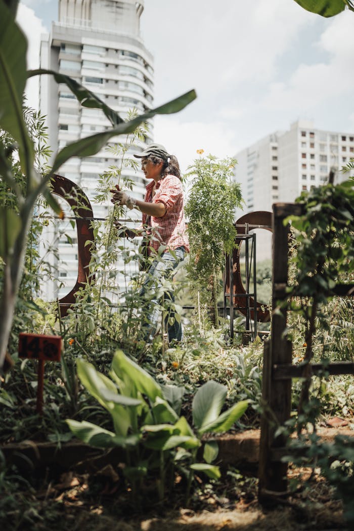 A woman gardening in a lush urban setting surrounded by skyscrapers, capturing summer vibes.