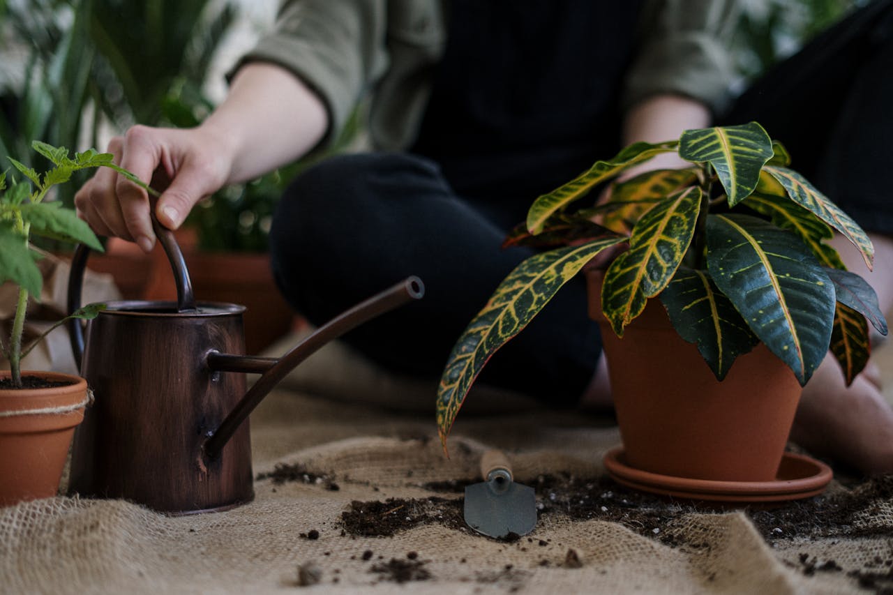 services-01 A gardener tending to houseplants indoors with a watering can and trowel.